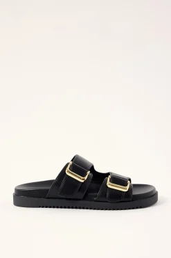 Adley Black