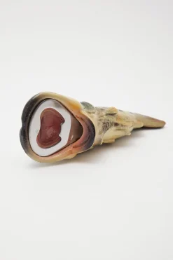 Bottle Opener Bass