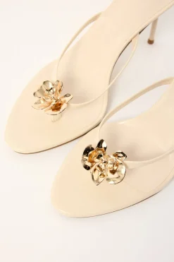 Dalella Pearl Shine