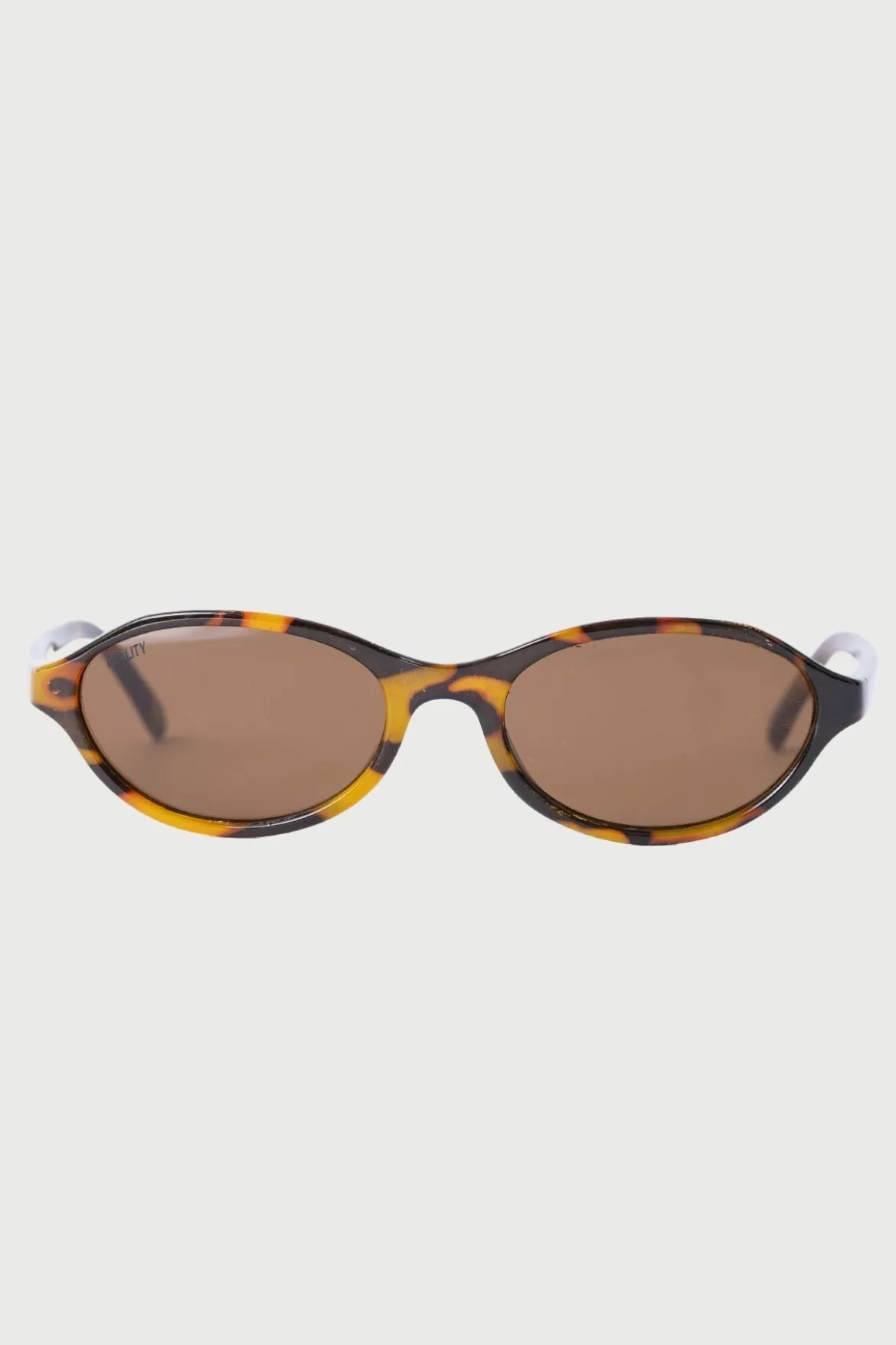 Dee Groovy Turtle Tortoise