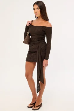 Hollie Lace Long Sleeve Mini Dress Brown