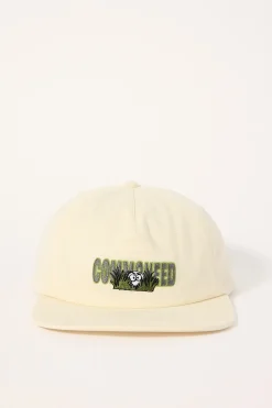 Lawn Skate Cap Off White