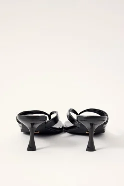 Marsie Black