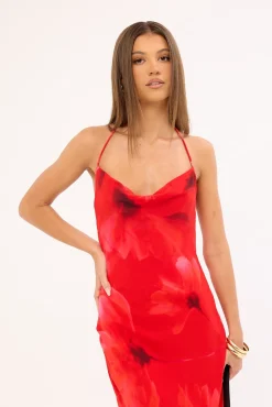 Mindy Halter Slip Maxi Dress Red Print