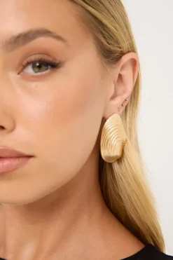 Oyster Shell Earrings Gold