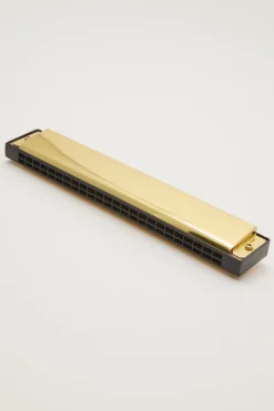 Play Harmonica