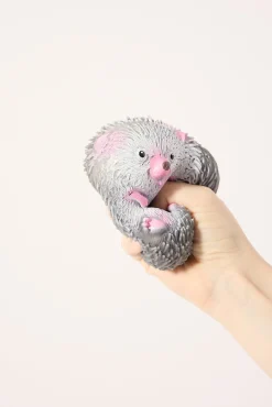 Squidgy Hedgehog Assorted