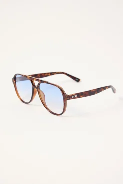 Stevie Tortoiseshell