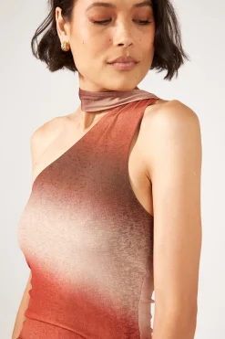 Superstition Mini Mesh Dress Brown Print