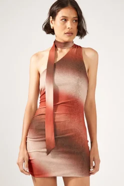 Superstition Mini Mesh Dress Brown Print