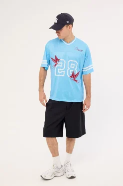 Swallows V-Neck Jersey Powder Blue