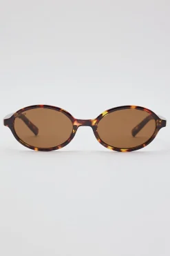 The Bessette Turtle/Brown Lens