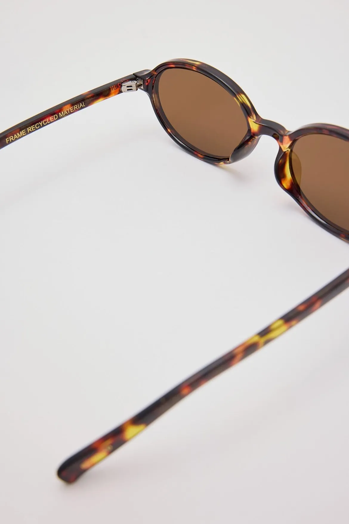 The Bessette Turtle/Brown Lens
